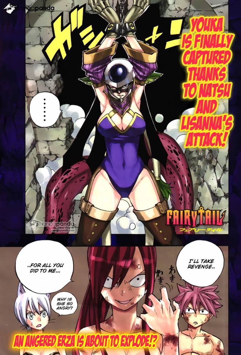 Fairy Tail Chapter 372 1